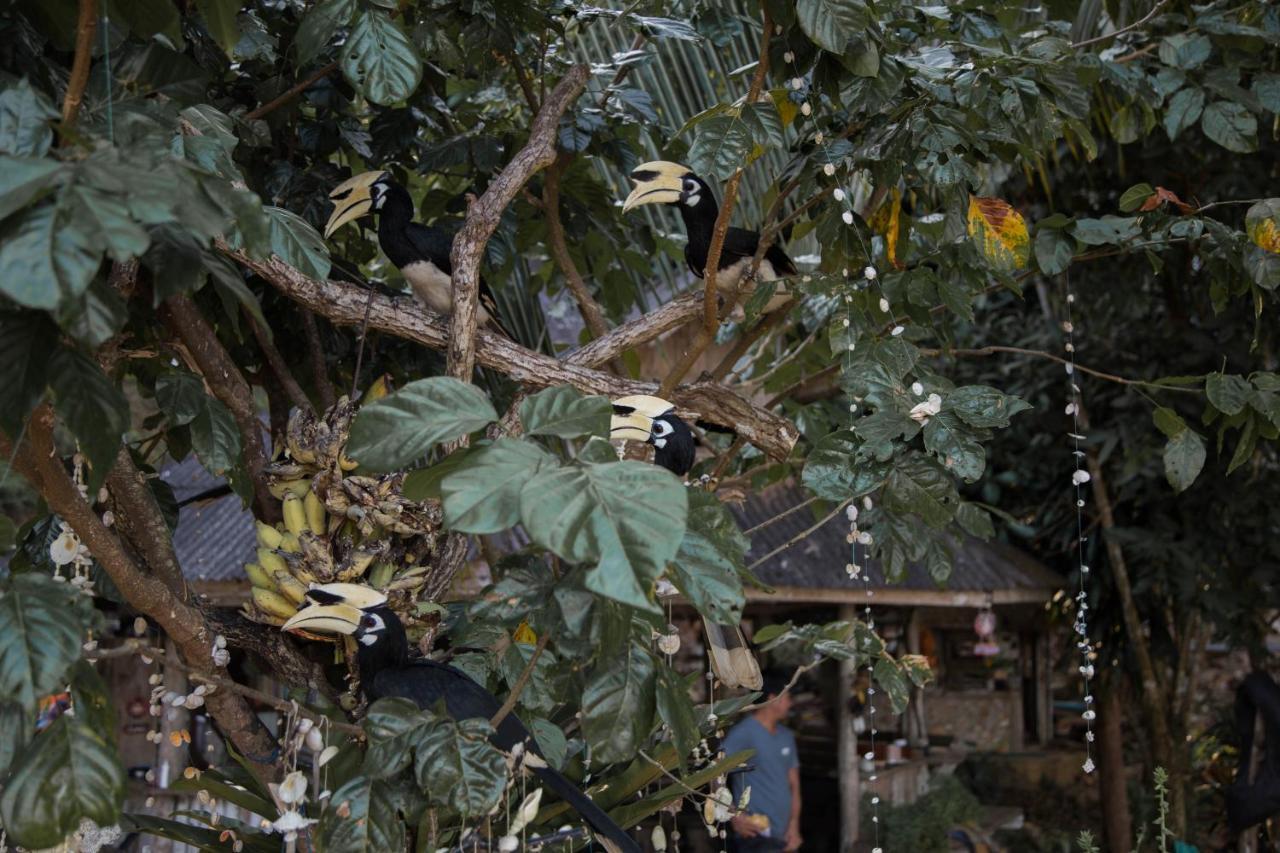 Hornbill Bungalow เกาะช้าง ระนอง ภายนอก รูปภาพ
